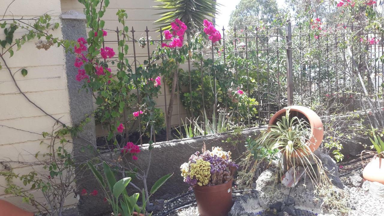 Beautiful Apartment Hercules Costa Del Silencio Exterior photo